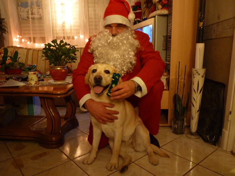 Emmie à Noël